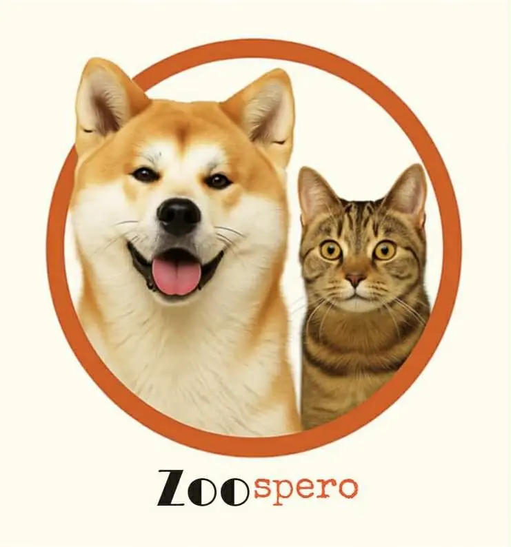 zooსფერო.com